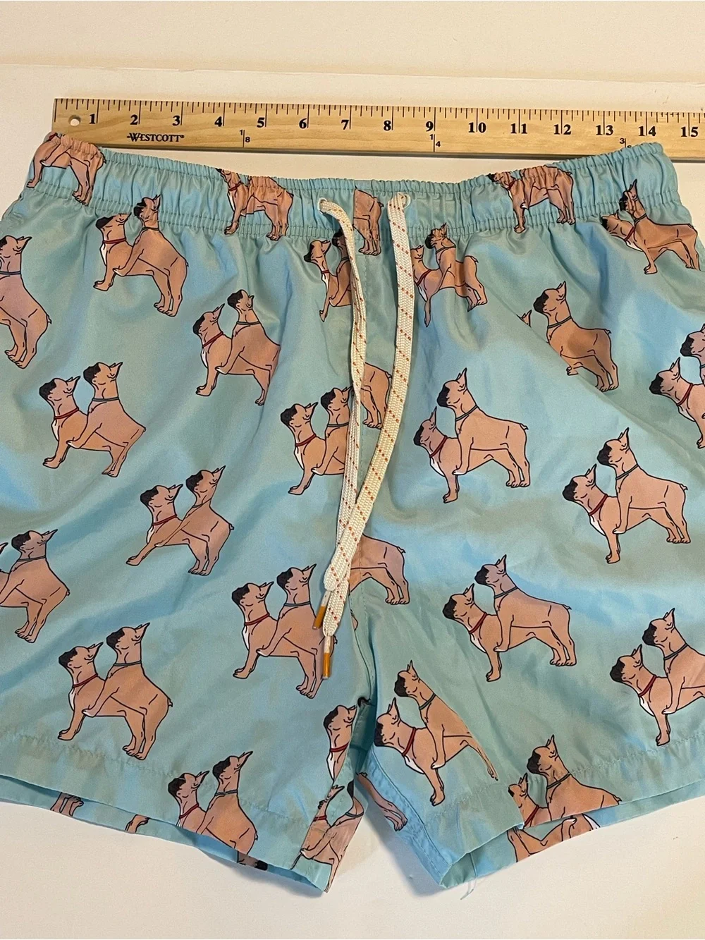 Ambsn Mens Swim Shorts Trunk Lined Medium French Bulldog Print Pockets Funny
